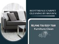 SCOTTSDALE CARPET CLEANING BY SHAWN image 2